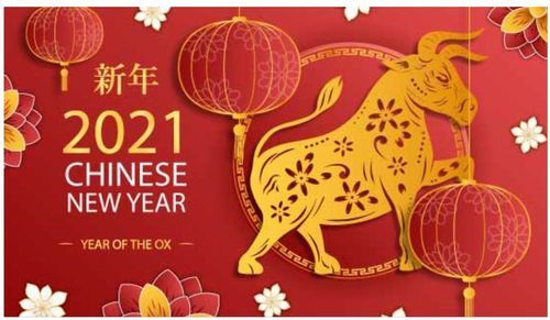 河南盛順凱新型建筑材料有限公司祝大家新年快樂，牛年更比一年牛！